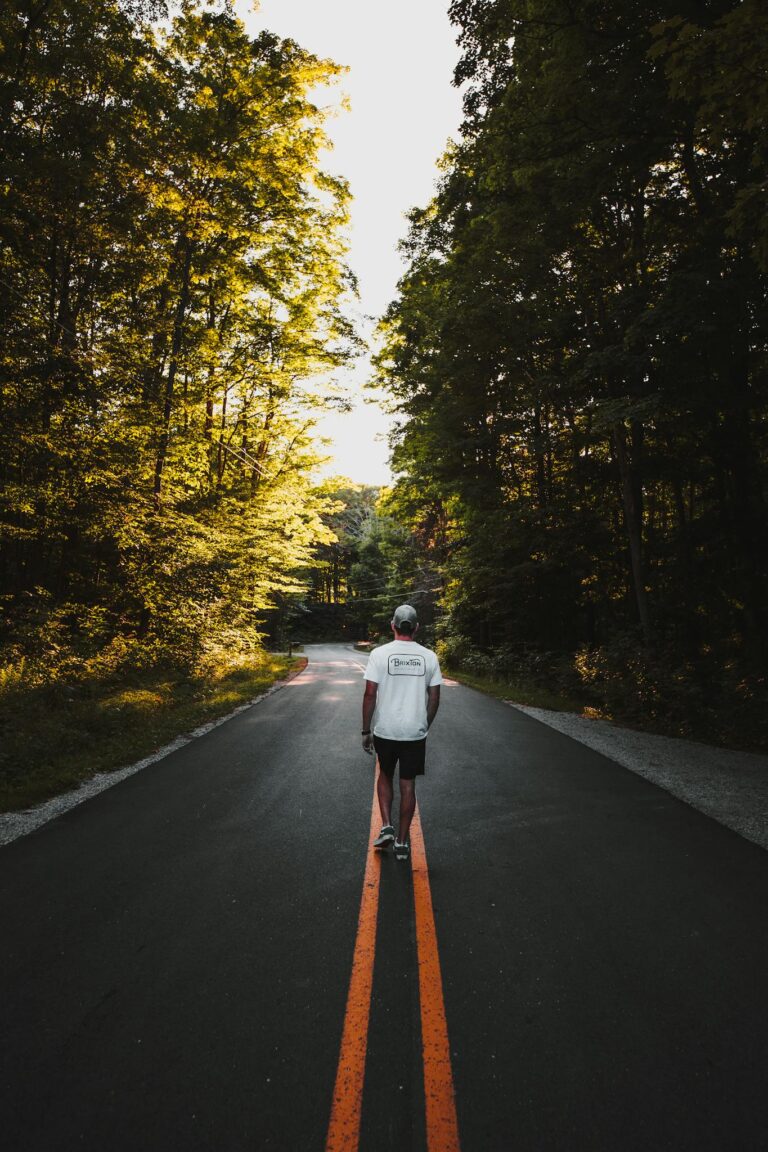 A solitary person strolls along a sunlit forest road, surrounded by lush trees.